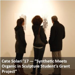 Cate Solari Exhibition Article