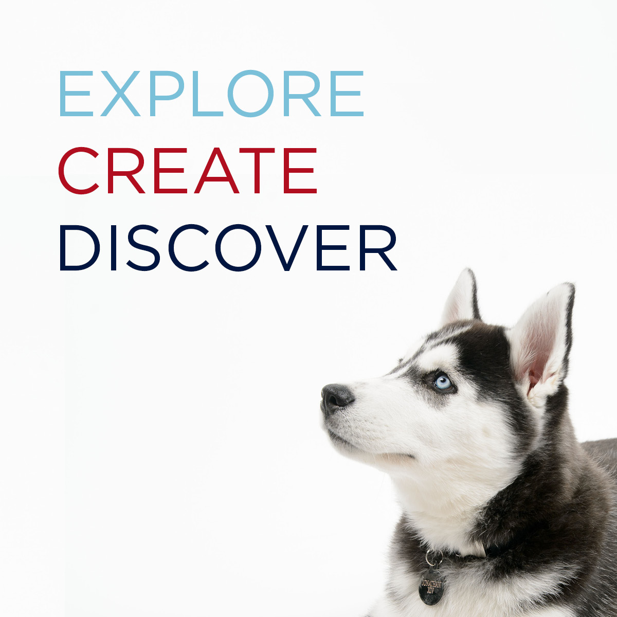 Jonathan the Husky looks up from the bottom right corner at text that reads, "Explore. Create. Discover." Click to learn about undergraduate research at UConn!