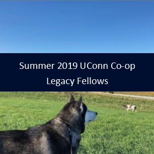 Summer 2019 UConn Co-op Legacy Fellows