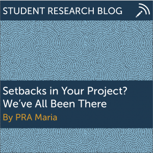 Setbacks in Your Project? We've All Been There. By PRA Maria.