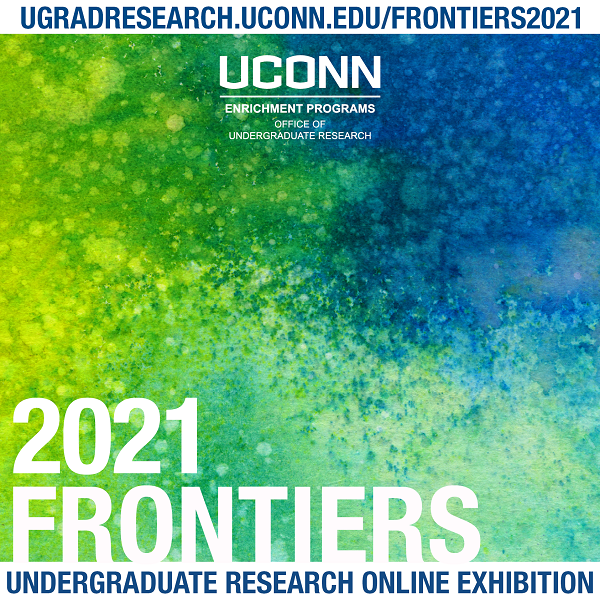 2021 Frontiers Online Exhibition