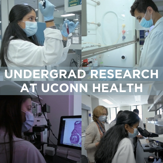 Over portraits of four students conducting research, text reads, "Undergraduate research at UConn Health"