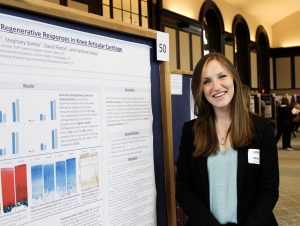 Kelsey Richard presents her research project on regenerative responses in knee articular cartilage at the 2019 Frontiers poster exhibition.