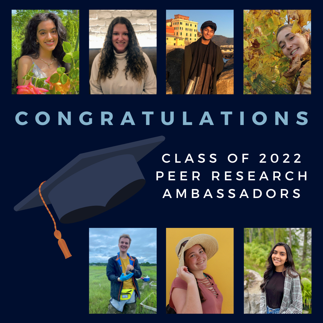 Seven portraits of college students surround the image of a mortarboard and text reading, "Congratulations, Class of 2022 Peer Research Ambassadors"