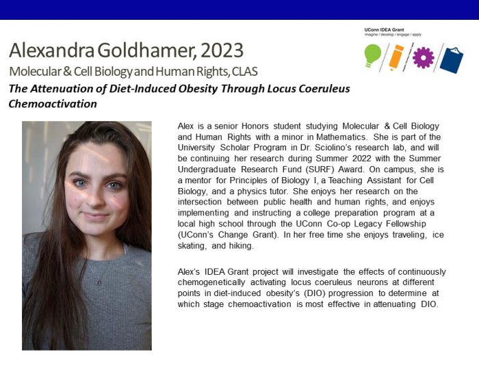 Alexandra Goldhamer IDEA Grant Bio.