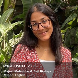 OUR Peer Research Ambassador Ayushi Patel '23, Majors: Molecular & Cell Biology; Minor: English.