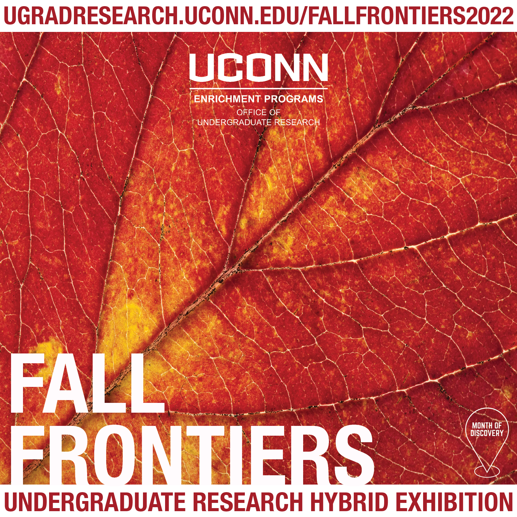 Over a close-up photo of a red and yellow leaf, text reads, Fall Frontiers Undergraduate Research Poster Exhibition, ugradresearch.uconn.edu/fallfrontiers2022