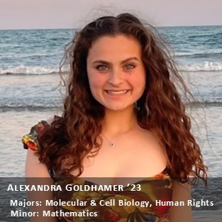 OUR Peer Research Ambassador Alexandra Goldhamer '23, Majors: Molecular & Cell Biology, Human Rights; Minor: Mathematics.