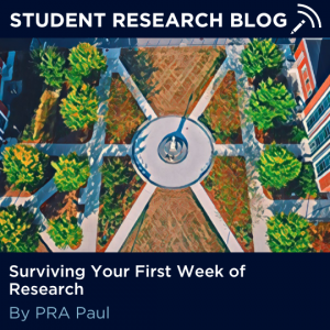 undergraduate research blog