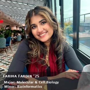 OUR Peer Research Ambassador Fariha Fardin '25, Major: Molecular & Cell Biology, Minor: Bioinformatics.