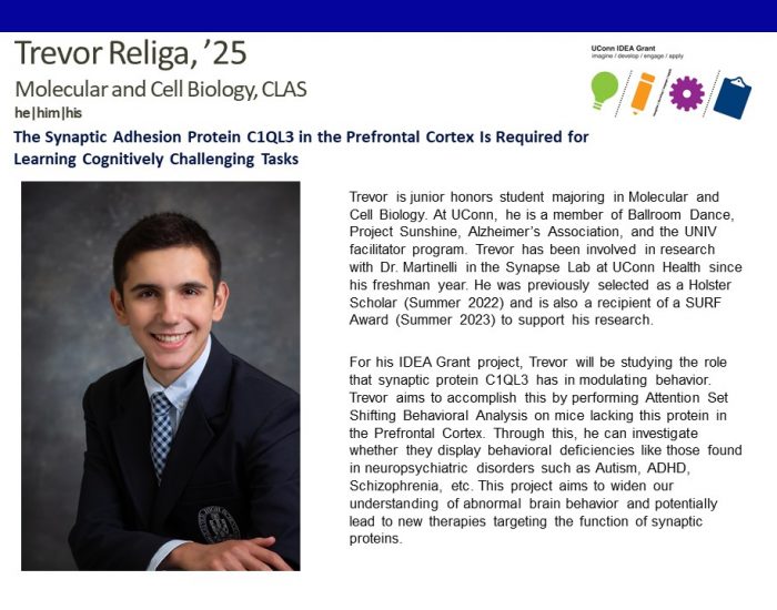 Bio for UConn IDEA Grant recipient Trevor Religa '25, Molecular & Cell Biology major.
