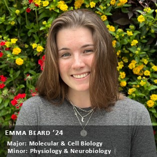 OUR Peer Research Ambassador Emma Beard '24, Major: Molecular & Cell Biology; Minor: Physiology & Neurobiology.