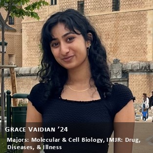 OUR Peer Research Ambassador Grace Vaidian '24, Majors: Molecular & Cell Biology, IMJR: Drug, Disease, & Illness.