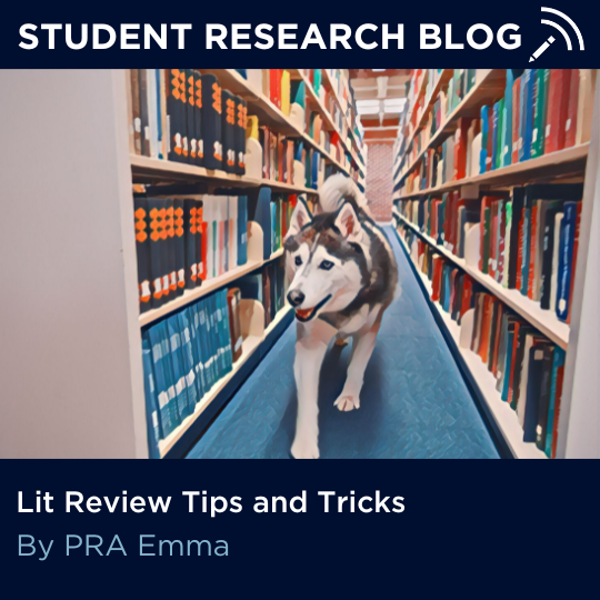 A picture of Jonathan Husky in the UConn Storrs campus library in a painterly style with text: "Lit Review Tips and Tricks. By PRA Emma."