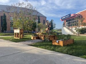 Picture of the Eco Learn: Growing Green Garden outside of the UConn Dairy Bar.